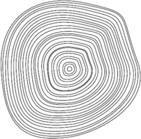 Counting Tree Rings